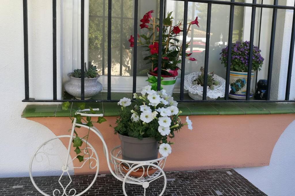 Casa Con Piscina Privada Y Jardin Villa Чиклана де ла Фронтера Екстериор снимка