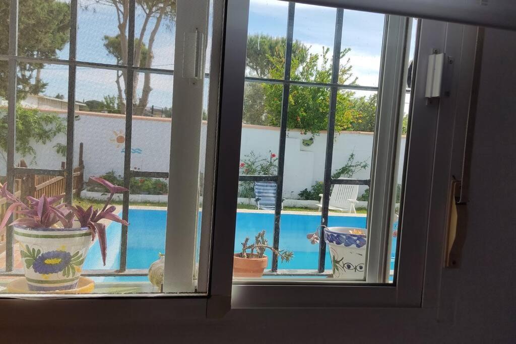 Casa Con Piscina Privada Y Jardin Villa Чиклана де ла Фронтера Екстериор снимка